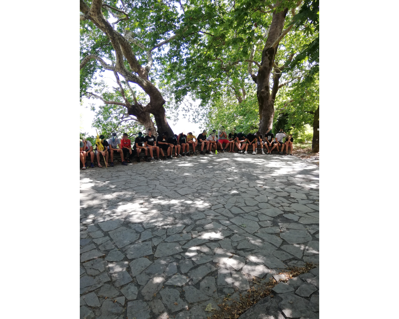 Παιδικές Κστασκηνώσεις "Η Ταϋγέτη"